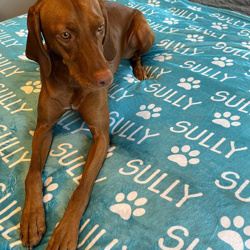 Personalized Paw Print Name Blanket For Pet Pet Lover Gift