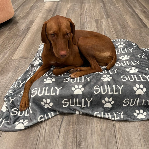 Personalized Paw Print Name Blanket For Pet Pet Lover Gift