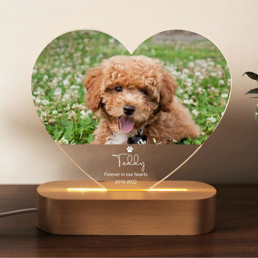 Pet Memorial Custom Acrylic Heart Night Light | Personalized Bedroom LED Decor Sign | Light Up Sign | Gift for Pets